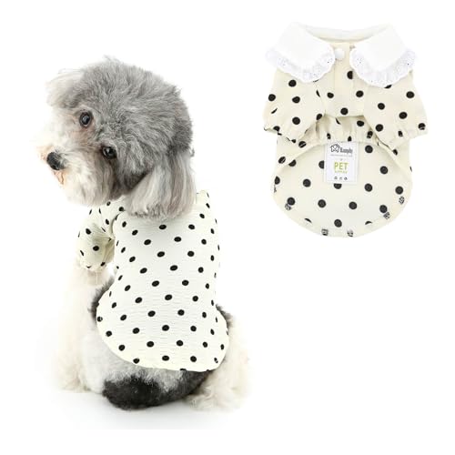 Ranphy Hundekleidung, Welpen-T-Shirt, weich und leicht, für kleine Hunde, gepunktet, Frühlings- und Sommerhemden, durchbrochene Spitze, Chihuahua, Yorkie-Outfits, Katzenbekleidung, Creme, Größe L Ranphy Hundekleidung, Welpen-T-Shirt, weich und leicht, für kleine Hunde, gepunktet, Frühlings- und Sommerhemden, durchbrochene Spitze, Chihuahua, Yorkie-Outfits, Katzenbekleidung, Creme, Größe L von Ranphy