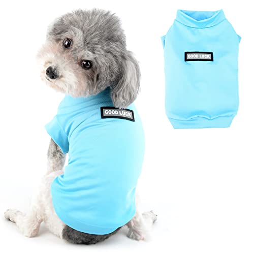 Ranphy Hundeweste für kleine Hunde Welpen Solide Kleidung T-Shirt Tee Shirts Weich und Schnell Trocken Kühlendes Haustier Kostüm Chihuahua Yorkie Weste Katzenbekleidung, Blau, XL von Ranphy