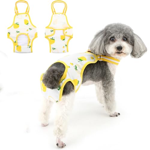 Ranphy Hundewindeln für Hündinnen mit verstellbarem Strumpfhalter, waschbar, wiederverwendbar, für Welpen, Sanitärhöschen, niedliche Erdbeer-Periodenhöschen, Haustierunterwäsche, Windel-Jumpsuits für Ranphy Hundewindeln für Hündinnen mit verstellbarem Strumpfhalter, waschbar, wiederverwendbar, für Welpen, Sanitärhöschen, niedliche Erdbeer-Periodenhöschen, Haustierunterwäsche, Windel-Jumpsuits für von Ranphy