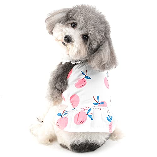 Ranphy Kleid für kleine Hunde und Katzen, ärmellos, Strandrock von Ranphy