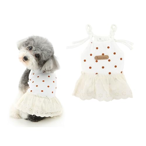 Ranphy Kleid mit Bindeband, Tutu, Rock, gepunktet, Prinzessinnenkleider, für kleine Hunde, Mädchen, modische Röcke, Outfit, Chihuahua, Yorkie, Katzen, Weiß, Größe XL Ranphy Kleid mit Bindeband, Tutu, Rock, gepunktet, Prinzessinnenkleider, für kleine Hunde, Mädchen, modische Röcke, Outfit, Chihuahua, Yorkie, Katzen, Weiß, Größe XL von Ranphy