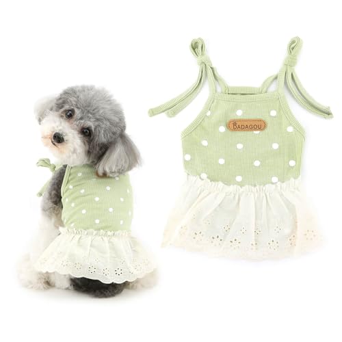 Ranphy Kleid mit Bindeband, Tutu-Rock, gepunktet, Prinzessinnenkleider, für kleine Hunde, Mädchen, modische Röcke, Outfit, Chihuahua, Yorkie, Katzen, Grün, Größe M Ranphy Kleid mit Bindeband, Tutu-Rock, gepunktet, Prinzessinnenkleider, für kleine Hunde, Mädchen, modische Röcke, Outfit, Chihuahua, Yorkie, Katzen, Grün, Größe M von Ranphy