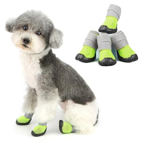 Ranphy Kleine und mittelgroße Hundeschuhe für heißen Gehweg, weiches Netzgewebe, Sommer-Welpenstiefel, rutschfeste Gummisohle, verstellbar, atmungsaktiv, Outdoor, Spazierengehen, Wandern, Pfotenschutz Ranphy Kleine und mittelgroße Hundeschuhe für heißen Gehweg, weiches Netzgewebe, Sommer-Welpenstiefel, rutschfeste Gummisohle, verstellbar, atmungsaktiv, Outdoor, Spazierengehen, Wandern, Pfotenschutz von Ranphy