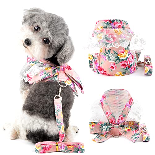 Ranphy Kleines Hundegeschirr mit Leine für kleine Hunde Mädchen No Pull Chihuahua Kleid mit Schleife Spitze Kätzchen Weste Harness Floral Welpen Kleidung mit niedlichem Bogen zum Gehen, Rosa, L von Ranphy