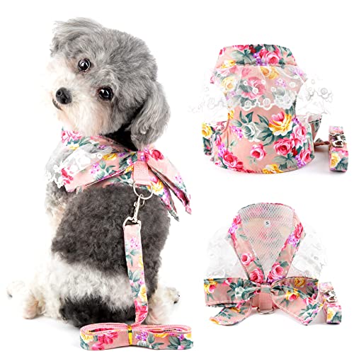 Ranphy Kleines Hundegeschirr mit Leine für kleine Hunde Mädchen No Pull Chihuahua Kleid mit Schleife Spitze Kätzchen Weste Harness Floral Welpen Kleidung mit niedlichem Bogen zum Gehen, Rosa, XXL Ranphy Kleines Hundegeschirr mit Leine für kleine Hunde Mädchen No Pull Chihuahua Kleid mit Schleife Spitze Kätzchen Weste Harness Floral Welpen Kleidung mit niedlichem Bogen zum Gehen, Rosa, XXL von Ranphy