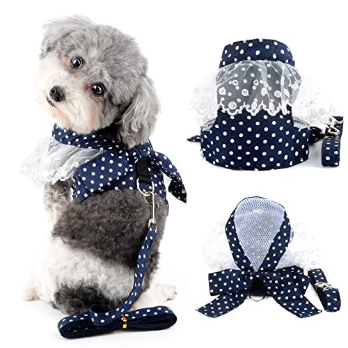 Ranphy Kleines Hundegeschirr mit Leine für kleine Hunde Mädchen No Pull Chihuahua Kleid mit Schleife Spitze Kätzchen Weste Harness Polka Dot Welpen Kleidung mit niedlichem Bogen zum Gehen, Blau, XL von Ranphy