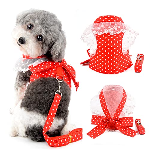 Ranphy Kleines Hundegeschirr mit Leine für kleine Hunde Mädchen No Pull Chihuahua Kleid mit Schleife Spitze Kätzchen Weste Harness Polka Dot Welpen Kleidung mit niedlichem Bogen zum Gehen, Rot, M von Ranphy