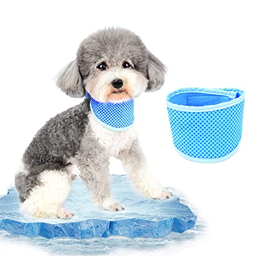 Ranphy Kühlendes Halstuch, für kleine und mittelgroße Hunde, kühlendes Halstuch, atmungsaktiv, für Katzen, superweich, dreieckig, Chill-Out-Schal, verstellbar, kühles Nackenband, Wärmeableitung Ranphy Kühlendes Halstuch, für kleine und mittelgroße Hunde, kühlendes Halstuch, atmungsaktiv, für Katzen, superweich, dreieckig, Chill-Out-Schal, verstellbar, kühles Nackenband, Wärmeableitung von Ranphy