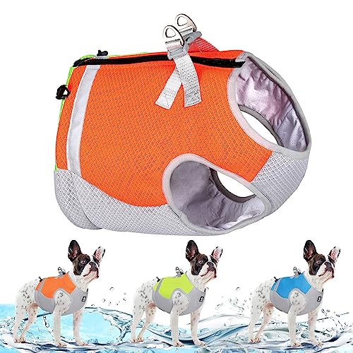 Ranphy Kühlweste für Hunde Geschirr Verdunstungskühlermantel Kühljacke für Hunde für Sommer Outdoor Wandern, Spazierengehen und Camping, Orange, L von Ranphy