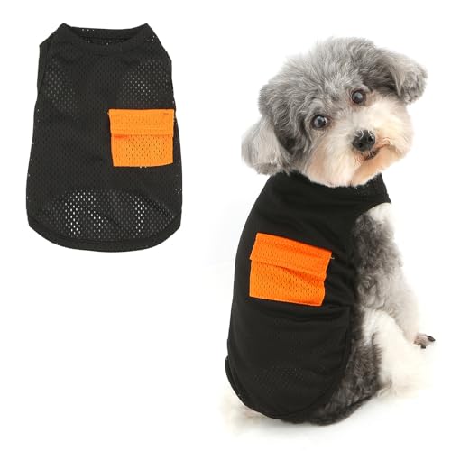 Ranphy Modisches Haustier-T-Shirt aus Netzstoff für XS und kleine Hunde, atmungsaktives Welpen-Tanktop mit Tasche, ärmellose Weste, Yorkie, Chihuahua, Frühling, Sommer, Katzenkleidung, Schwarz, Größe Ranphy Modisches Haustier-T-Shirt aus Netzstoff für XS und kleine Hunde, atmungsaktives Welpen-Tanktop mit Tasche, ärmellose Weste, Yorkie, Chihuahua, Frühling, Sommer, Katzenkleidung, Schwarz, Größe von Ranphy