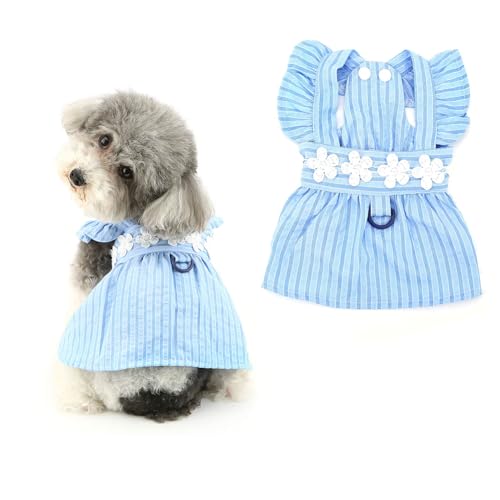 Ranphy Niedliches gestreiftes Hundekleid mit Rüschenbesatz, für kleine Hunde, Prinzessinnenkleider mit Spitze, Blumenrock, Urlaubsparty, Kostüm, Yokie, Chihuahua, Katzen, Sommerbekleidung, Blau, Größe von Ranphy