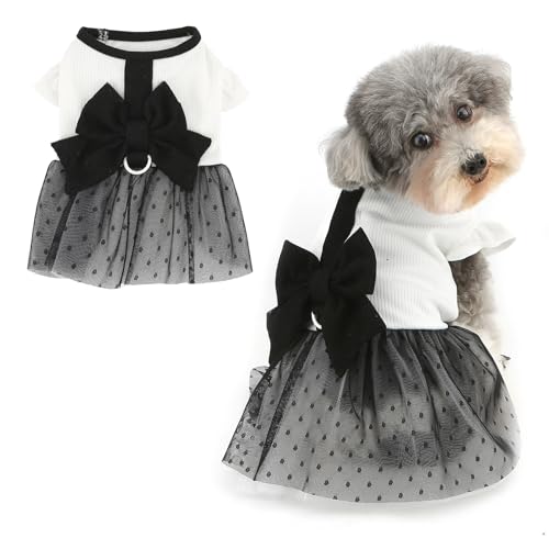 Ranphy Passendes Outfit für Haustiere, Tutu-Kleid für XS, kleine Hunde mit Leine, Ring, Schleife, Welpen, gepunkteter Tüllrock, Yorkie, Chihuahua, Frühling, Sommer, Hündinnen, Katzenkleidung von Ranphy
