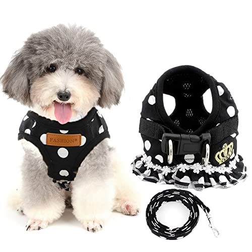 Ranphy Polka Dot Geschirr für kleine Hunde und Katzen, kein Ziehen, Gepolstert Brustgeschirr Welpen Hundeweste Haustierweste mit Leine, Set verstellbar, für Spaziergänge, Training, Wandern Ranphy Polka Dot Geschirr für kleine Hunde und Katzen, kein Ziehen, Gepolstert Brustgeschirr Welpen Hundeweste Haustierweste mit Leine, Set verstellbar, für Spaziergänge, Training, Wandern von Ranphy