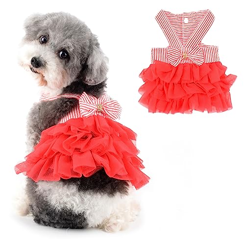 Ranphy Prinzessin Hundekleid für kleine Hunde Mädchen gestreift Welpenkleidung Outfit für Damen mit Fliege niedliches Frühlings-Sommer Katzen Tutu Rock Yorkie Chihuahua Kleidung, Rot, M Ranphy Prinzessin Hundekleid für kleine Hunde Mädchen gestreift Welpenkleidung Outfit für Damen mit Fliege niedliches Frühlings-Sommer Katzen Tutu Rock Yorkie Chihuahua Kleidung, Rot, M von Ranphy