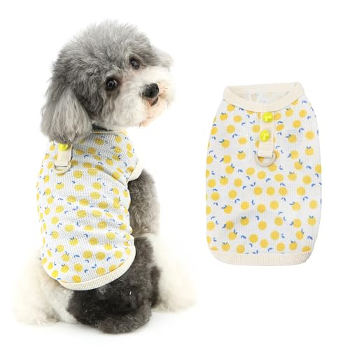 Ranphy Shirts für kleine Hunde, atmungsaktiv, weiches Welpen-Tanktop, ärmellos, Sommer-T-Shirt, Obstmuster, Hundeweste für Chihuahua, Teetasse, Yorkie, Katzenkleidung, gelb, Größe L Ranphy Shirts für kleine Hunde, atmungsaktiv, weiches Welpen-Tanktop, ärmellos, Sommer-T-Shirt, Obstmuster, Hundeweste für Chihuahua, Teetasse, Yorkie, Katzenkleidung, gelb, Größe L von Ranphy