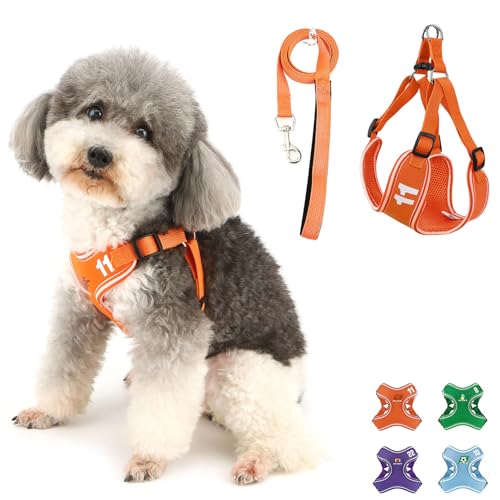 Ranphy Step-in-Geschirr und Leine, Set für kleine und mittelgroße Hunde, kein Ziehen, Katzengeschirr, ausbruchsicher, weiches Netzgewebe, gepolstert, verstellbar, reflektierend, Outdoor, Ranphy Step-in-Geschirr und Leine, Set für kleine und mittelgroße Hunde, kein Ziehen, Katzengeschirr, ausbruchsicher, weiches Netzgewebe, gepolstert, verstellbar, reflektierend, Outdoor, von Ranphy