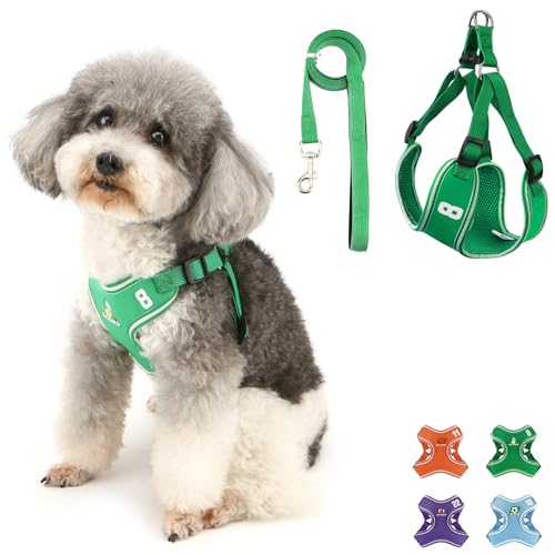 Ranphy Step-in-Geschirr und Leine, Set für kleine und mittelgroße Hunde, kein Ziehen, Katzengeschirr, ausbruchsicher, weiches Netzgewebe, gepolstert, verstellbar, reflektierend, für Ranphy Step-in-Geschirr und Leine, Set für kleine und mittelgroße Hunde, kein Ziehen, Katzengeschirr, ausbruchsicher, weiches Netzgewebe, gepolstert, verstellbar, reflektierend, für von Ranphy