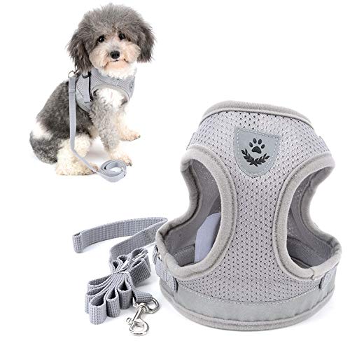 Ranphy Step-in Mesh Geschirr Reflektierende Streifen Verstellbare Soft Weste für Kleine Hunde Katze Grau Größe M Ranphy Step-in Mesh Geschirr Reflektierende Streifen Verstellbare Soft Weste für Kleine Hunde Katze Grau Größe M von Ranphy