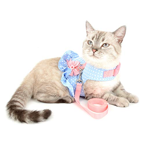 Ranphy Tupfen Katze Geschirr mit Leine Kleines Hunde Schritt in Weste Harness Verstellbar Komfort Gepolstert Weich Mesh Brustgeschirr Welpen Haustier Anti Zug Kostüm Rock Blau S von Ranphy
