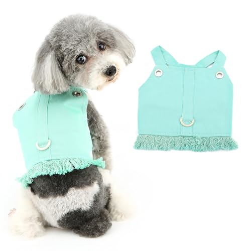 Ranphy Weiches Hundegeschirr für kleine Hunde, Macaron-Farbe, kein Ziehen, Welpen, Fransen, Denim-Weste, Chihuahua, Yorkie, Katzengeschirr, ausbruchsicher, Grün, Größe L Ranphy Weiches Hundegeschirr für kleine Hunde, Macaron-Farbe, kein Ziehen, Welpen, Fransen, Denim-Weste, Chihuahua, Yorkie, Katzengeschirr, ausbruchsicher, Grün, Größe L von Ranphy