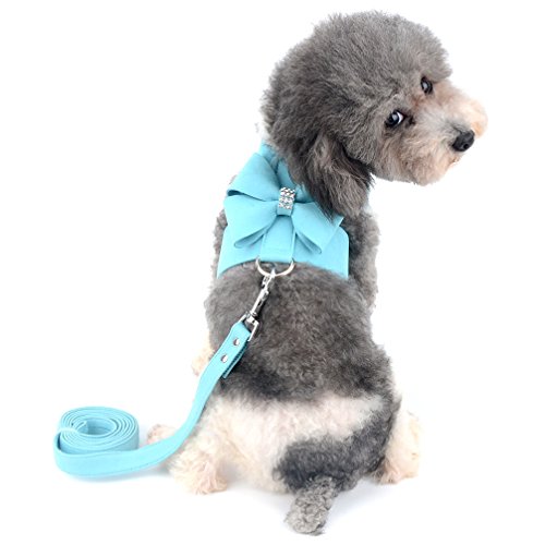 Ranphy Wildleder Hundegeschirr mit Bling Strass No Pull Geschirr mit Bowknot Weiche Haustier Weste mit Leine Set Verstellbar für Kleine Hunde für Spazierengehen Training Wandern Blau Größe M Ranphy Wildleder Hundegeschirr mit Bling Strass No Pull Geschirr mit Bowknot Weiche Haustier Weste mit Leine Set Verstellbar für Kleine Hunde für Spazierengehen Training Wandern Blau Größe M von Ranphy