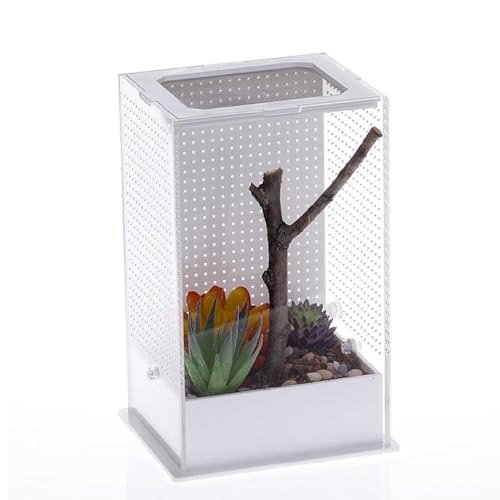 Ranuw Futterbox Kunststoff Terrarium transparente Behälter für Spinnen, Eidechsen, Frösche, Mantisen, tragbarer Lebensraum für kleine Haustiere, S/L, Acryl-Habitat Ranuw Futterbox Kunststoff Terrarium transparente Behälter für Spinnen, Eidechsen, Frösche, Mantisen, tragbarer Lebensraum für kleine Haustiere, S/L, Acryl-Habitat von Ranuw