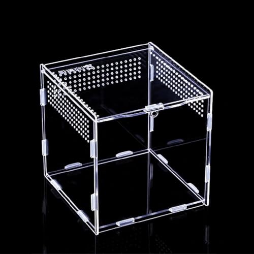 Futterbox Transparent Behälter Acryl Terrarium Für Spinnen Klein Für Box Einfach Zu Asse Acryl Habitat von Ranuw