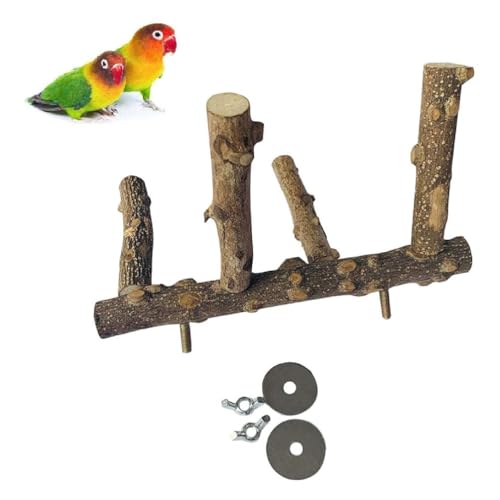 Holz Spielständer Für Vögel Sittiche Nymphensittiche Aras Liebesvögel Finken Geschenk Erweitern Sie Den Platz Robuster Papageien Ständer von Ranuw