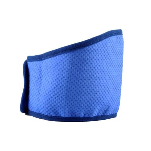 Pet Cooling Collar Dog Summer Collar Cool Ice-Pad Breathable Cooling Bandanas Adjust Quick-Dry Dog Collar For Heatstroke Cooling Neck Wrap For Pets Pet Cooling Neck Wrap von Ranuw