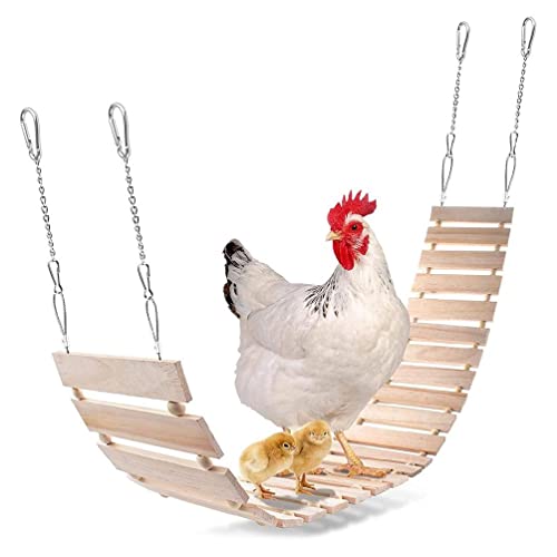 Ranuw Hühnerspielzeug Große Vogelschaukel Leiter Holzständer Sitzstange Zum Aufhängen Spielzeug Für Geflügel Henne Papagei Picken Hühnerleiter Schaukel Für Hühner Sitzstangen Schaukel Ranuw Hühnerspielzeug Große Vogelschaukel Leiter Holzständer Sitzstange Zum Aufhängen Spielzeug Für Geflügel Henne Papagei Picken Hühnerleiter Schaukel Für Hühner Sitzstangen Schaukel von Ranuw