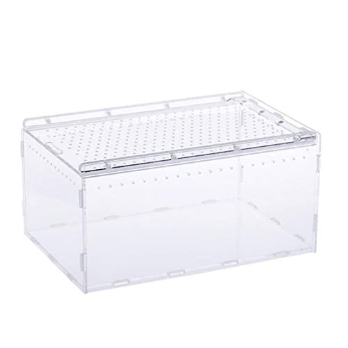 Transparente Futterbox mit Deckel für Geckos Supplies Transparent-Futterbox Behälter Terrarienkäfig von Ranuw
