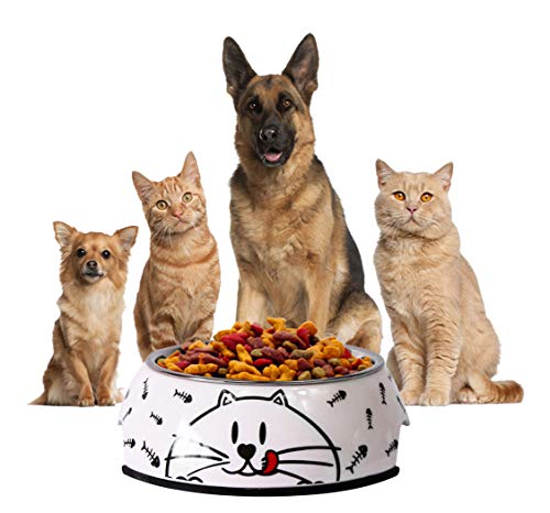Ranvi Pet Food Bowl, Katze, Pet Cartoon, Rutschhemmend, Weiß (Mittel) von Ranvi