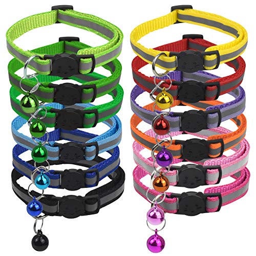 12 Stück Katzenhalsband, Katzenhalsband mit Sicherheitsschnalle, Katzenhalsband mit Glöckchen, Welpenhalsband Verstellbare Länge von 19 bis 32 cm 12 Stück Katzenhalsband, Katzenhalsband mit Sicherheitsschnalle, Katzenhalsband mit Glöckchen, Welpenhalsband Verstellbare Länge von 19 bis 32 cm von Rapidbok
