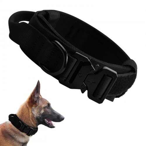 Top-Qualität Tactical Hundehalsband, Schwarz, M, Komfort und Haltbarkeit für mittlere und große Hunde, Perfekt für Training und Outdoor-Abenteuer Top-Qualität Tactical Hundehalsband, Schwarz, M, Komfort und Haltbarkeit für mittlere und große Hunde, Perfekt für Training und Outdoor-Abenteuer von Rapidbok