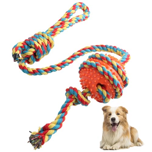 Rapidbok Ball mit Schnur Hund, Hundeball mit Schnur, Hundespielzeug Ball mit Seil, Hundeball Unzerstörbar, Hundespielzeug Wurfball mit Seil, Spielzeug Hund für Spielspaß und Zahnpflege von Rapidbok