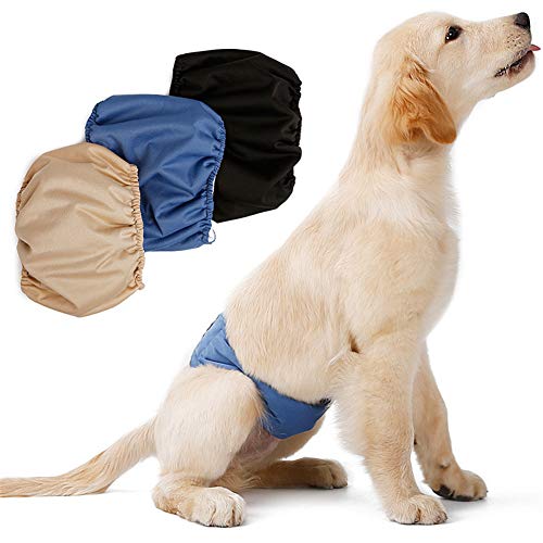 Rapidly 3 Stück Weibliche Hund Physiologische Unterwäche Waschbare Schutzhose Hundewindeln Hygieneunterhose Hunde Windeln (XL) von Rapidly