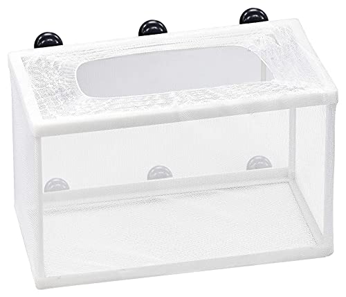 Züchterernetz für Aquarien, Brutnetz für Fischbrute, mit Saugnapf für Aquarien Züchterernetz für Aquarien, Brutnetz für Fischbrute, mit Saugnapf für Aquarien von Rarihem