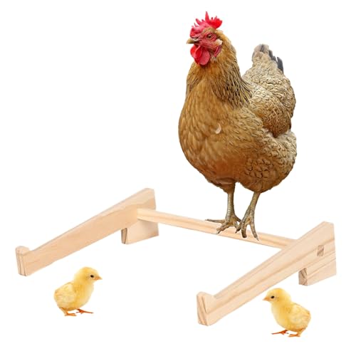 Hühnerv Multifunktionale Sitzstange Aus Naturholz | Trainings- & Spielstange Für Geflügelstall & Vögel Für Hühner Vögel Und Haustiere Für Großvögel Sicheres Für Küken Und Hühner von Ratpzou