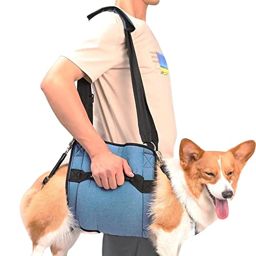 Hunde Hebegeschirr, Verstellbares Hundegeschirr mit Griff für Rücken Beine, Outdoor Hundetuch für Ganzkörperunterstützung, Weste für Hunde, die an Gelenkverletzungen leiden oder behinderte Hunde von Raxove
