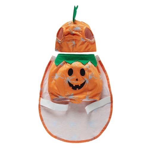 -Hundekostüm – -Hundekostüm, Jacke, Hundekostüm, Katzenkleidung, Hundekleidung, Cosplay-Outfit, Haustierkostüme, lustige Halloween-Katzenbekleidung für kleine Hunde, Haustierzubehör -Hundekostüm – -Hundekostüm, Jacke, Hundekostüm, Katzenkleidung, Hundekleidung, Cosplay-Outfit, Haustierkostüme, lustige Halloween-Katzenbekleidung für kleine Hunde, Haustierzubehör von Raxove