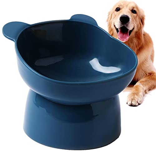 Katzenschüsseln Erhöhte Katzenteller Anti-Erbrochener Schnurrbart Katzenteller Erhöhte Katzenteller Ergonomisch rutschfest und rostfrei Katzenteller für drinnen Katzen und kleine Hunde Katzenschüsseln Erhöhte Katzenteller Anti-Erbrochener Schnurrbart Katzenteller Erhöhte Katzenteller Ergonomisch rutschfest und rostfrei Katzenteller für drinnen Katzen und kleine Hunde von Raxove