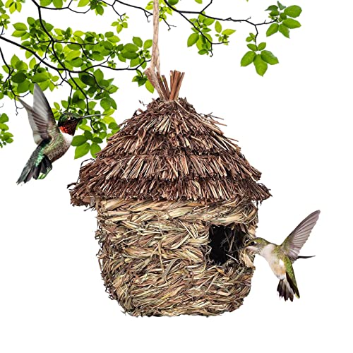 Kolibri-Nest-Haus, Grasvogelnest für den Außenbereich, 22,9 x 17,8 cm großes Vogelhäuschen für den Innen- und Außenbereich, Patio, Garten, Vogelnest, Geschenk für Vogelliebhaber, Heimdekoration Raxove von Raxove