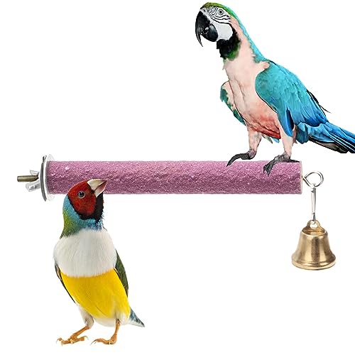 Papageienklaue Schleifstab, Stehstab Spielzeug mit Glocke für Vogel, Spatzen Kauspielzeug für Wellensittiche, Papagei, Spatz, Sittiche, Nymphensittiche, Aras Raxove Papageienklaue Schleifstab, Stehstab Spielzeug mit Glocke für Vogel, Spatzen Kauspielzeug für Wellensittiche, Papagei, Spatz, Sittiche, Nymphensittiche, Aras Raxove von Raxove