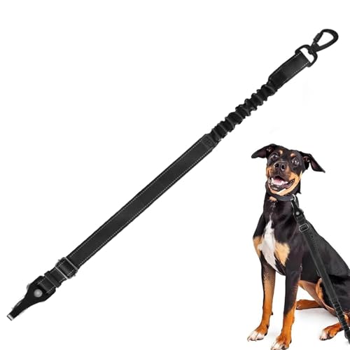 Raxove Abnehmbarer Sicherheitsgurt für Hunde, verstellbare Hundeleine | Abnehmbarer Sicherheitsgurt für Hunde und Katzen | Verstellbares Hundegeschirr von Raxove