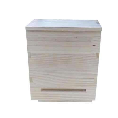 Raxove Fledermausbox, Fledermäusenhaus | Fledermäuse aus Holz, künstliche Fledermäuse zum Landen und Aufstellen, Fledermäuse unempfindlich Raxove Fledermausbox, Fledermäusenhaus | Fledermäuse aus Holz, künstliche Fledermäuse zum Landen und Aufstellen, Fledermäuse unempfindlich von Raxove
