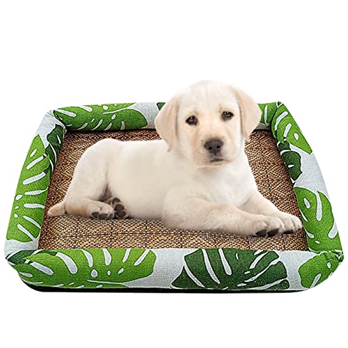 Raxove Haustier-Kühlkissen, Haustier-Kühlmatte, ungiftiges Gel-Kühlkissen, waschbar und wiederverwendbar, Hundeunterlage für drinnen und draußen, Haustierbetten, Zwinger, Sofas, Böden Raxove Haustier-Kühlkissen, Haustier-Kühlmatte, ungiftiges Gel-Kühlkissen, waschbar und wiederverwendbar, Hundeunterlage für drinnen und draußen, Haustierbetten, Zwinger, Sofas, Böden von Raxove