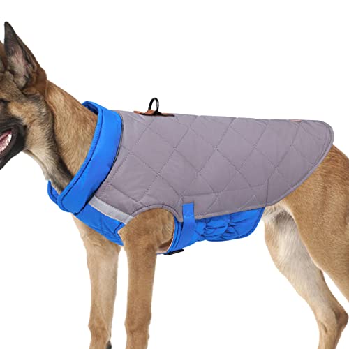 Raxove Hundekleidung für den Winter – Hundejacken | Reflektierende Hunde-Winterjacke, winddichte Hundekleidung für kaltes Wetter, verstellbare Haustierweste Raxove Hundekleidung für den Winter – Hundejacken | Reflektierende Hunde-Winterjacke, winddichte Hundekleidung für kaltes Wetter, verstellbare Haustierweste von Raxove