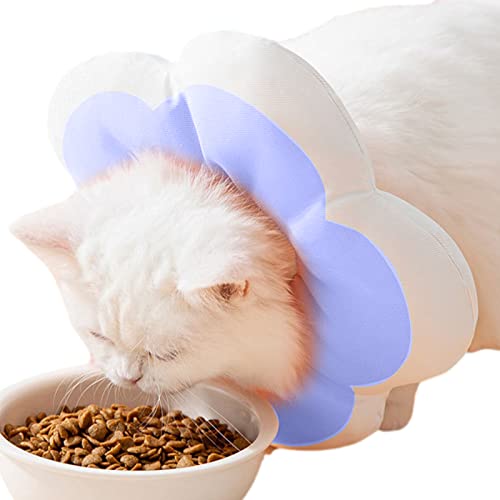 Raxove Katzen-Nackenschutz, weiche, leichte Baumwolle, Schamkegel, Haustier-Hundehalsband, Kegel verhindert Lecken, Kauen und Kratzen für Fotoshootings, lustige Raxove Katzen-Nackenschutz, weiche, leichte Baumwolle, Schamkegel, Haustier-Hundehalsband, Kegel verhindert Lecken, Kauen und Kratzen für Fotoshootings, lustige von Raxove