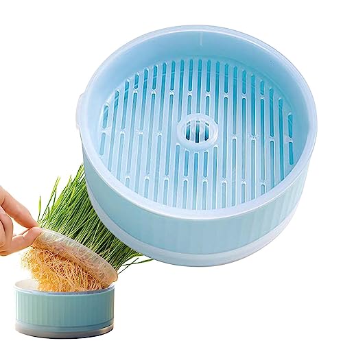 Raxove Katzengraskasten, Katzenpflanzen Grower, Katzenbox Graszüchter, Hydrokulturgras Pflanzkasten, Tiere Outdoor Werkzeuge Pflanzen Kreative Katzengras Box Katze Pflanztopf für Zuhause Haushalt von Raxove