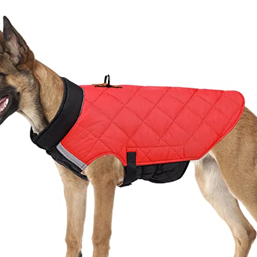 Raxove Hundemantel – Winterjacke für Welpen, gemütlich, winddicht, wendbar, dick gepolstert, warm, reflektierend, für Welpen, kleine, mittelgroße und große Hunde Raxove Hundemantel – Winterjacke für Welpen, gemütlich, winddicht, wendbar, dick gepolstert, warm, reflektierend, für Welpen, kleine, mittelgroße und große Hunde von Raxove